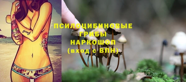 мет Покачи