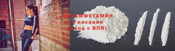 прущие грибы Покровск