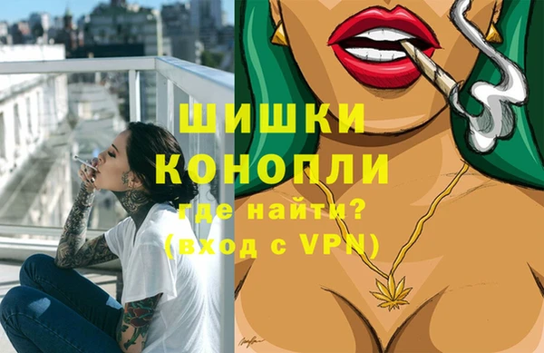 прущие грибы Покровск