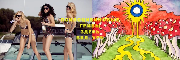 прущие грибы Покровск