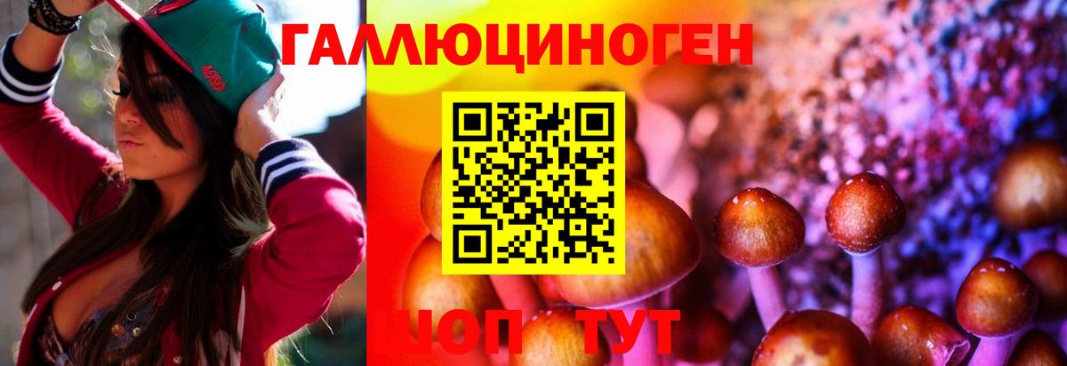 Киров  Псилоцибиновые грибы MAGIC MUSHROOMS  Вход с VPN 